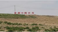 乌海市沙化地改良示范