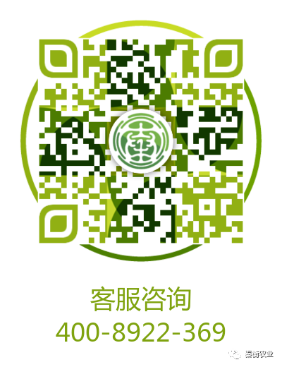 二维.png