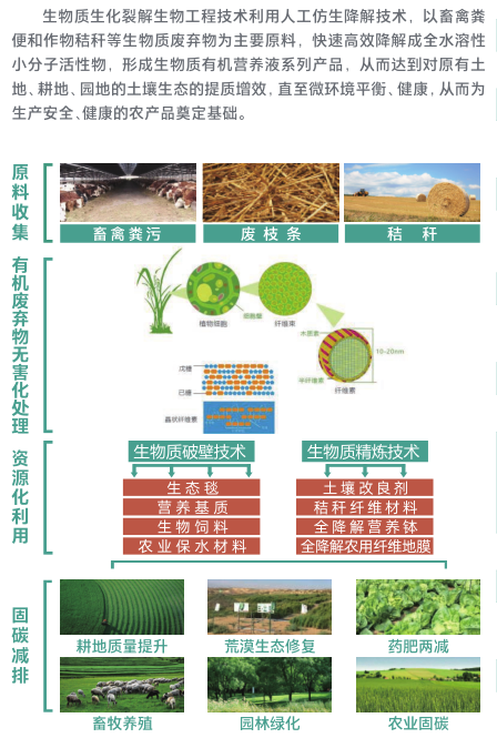 技术方案1.png