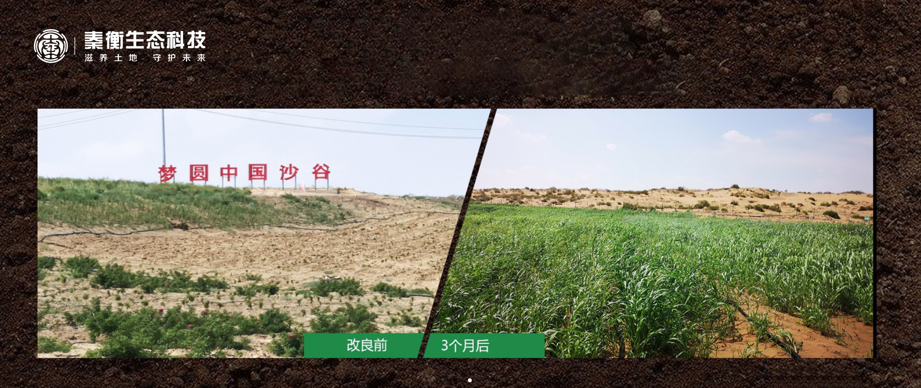 乌海沙化改良效果.jpg