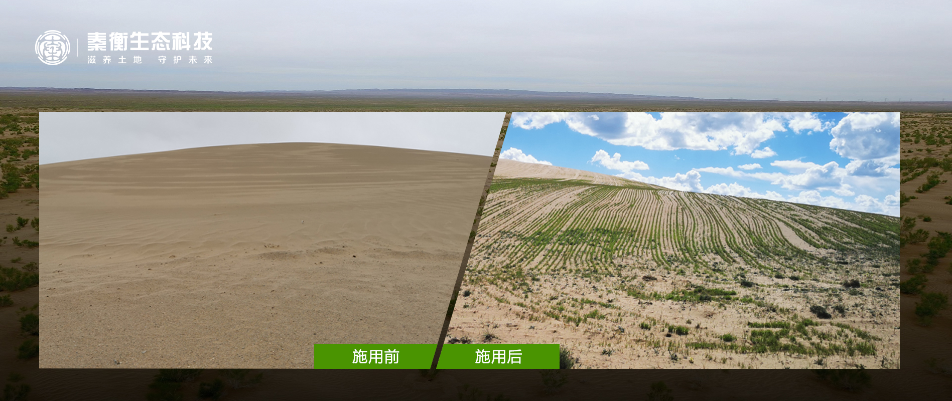 青海省 玛多县 黄河乡沙化地治理