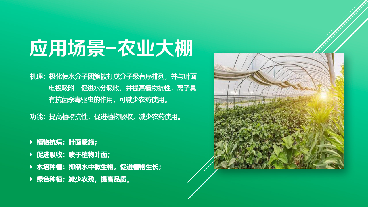 应用大棚.jpg
