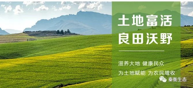 助力大安市盐碱地改良的创新之举