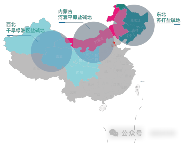 图片2(1)(1).png