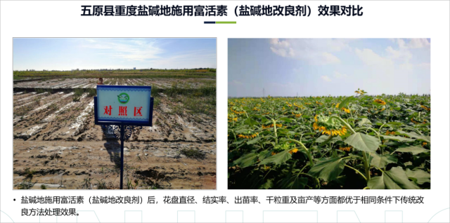 图片3(1)(1).png
