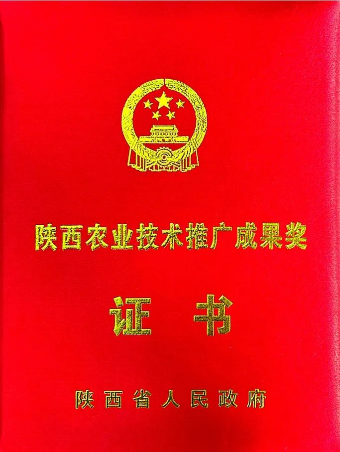 技术推广成果奖.jpg